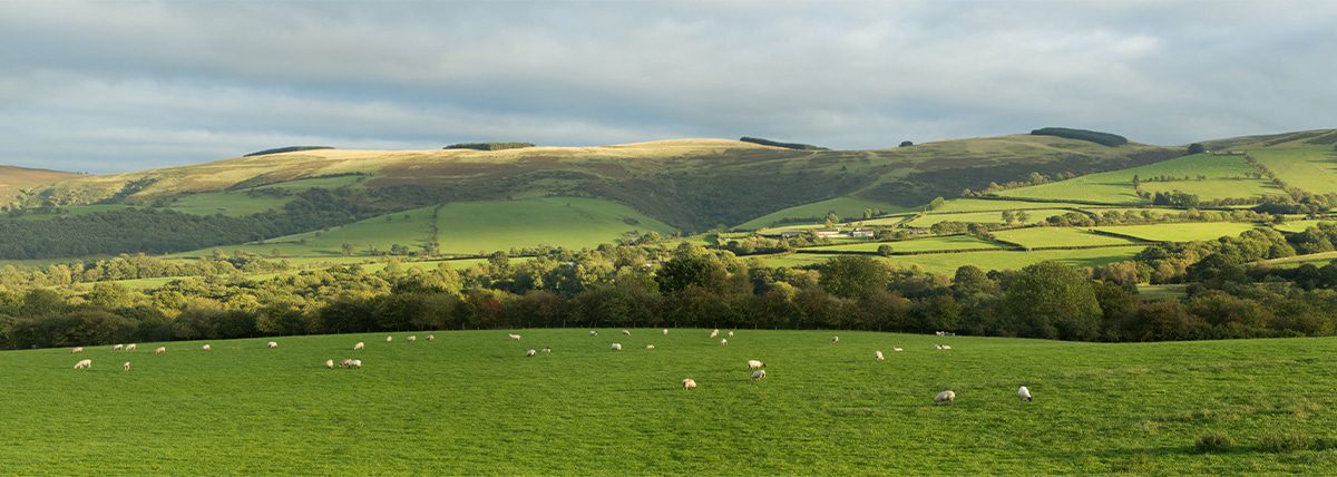 What is the difference between a Grazing Licence and a Farm Business ...